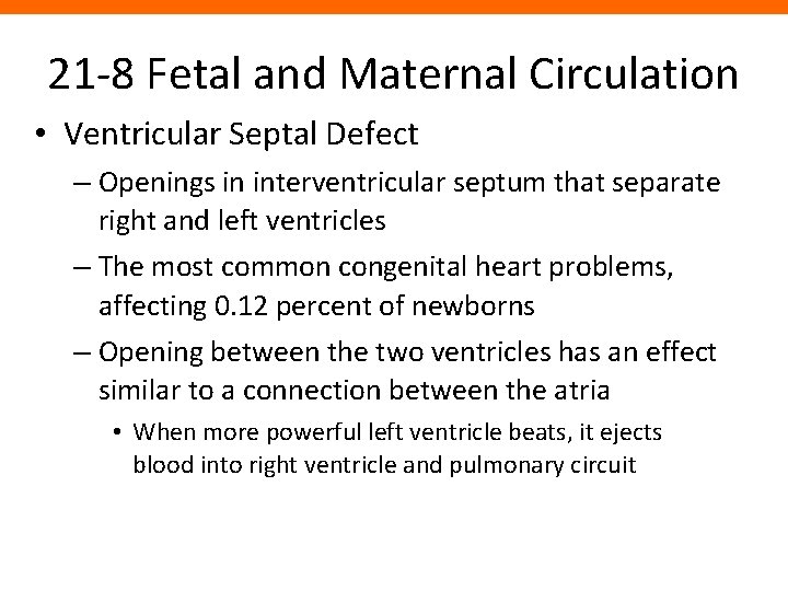 21 -8 Fetal and Maternal Circulation • Ventricular Septal Defect – Openings in interventricular