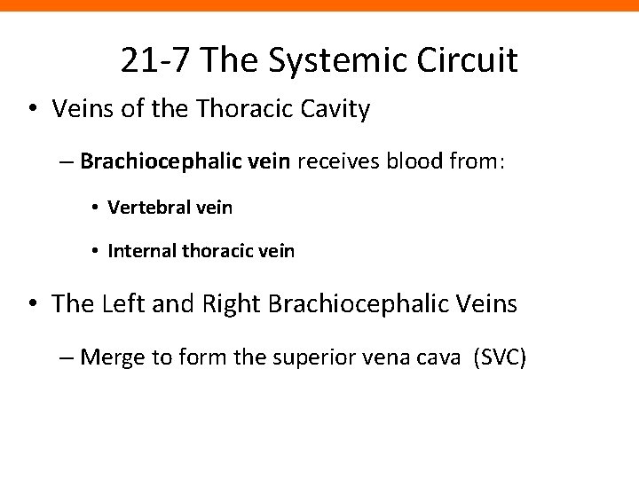 21 -7 The Systemic Circuit • Veins of the Thoracic Cavity – Brachiocephalic vein