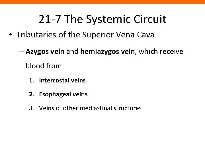 21 -7 The Systemic Circuit • Tributaries of the Superior Vena Cava – Azygos