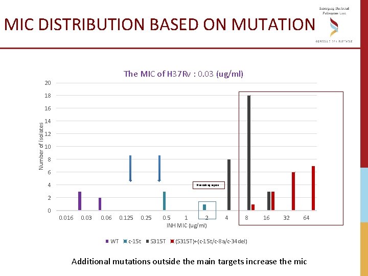 MIC DISTRIBUTION BASED ON MUTATION The MIC of H 37 Rv : 0. 03 MIC DISTRIBUTION BASED ON MUTATION The MIC of H 37 Rv : 0. 03