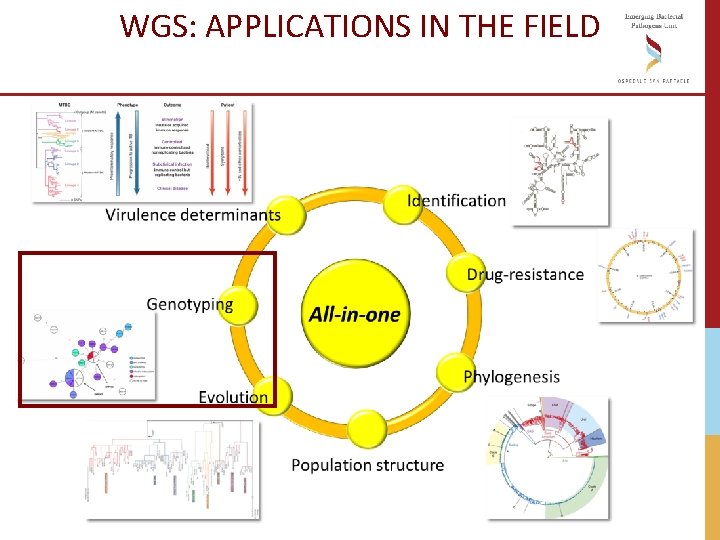 WGS: APPLICATIONS IN THE FIELD WGS: APPLICATIONS IN THE FIELD