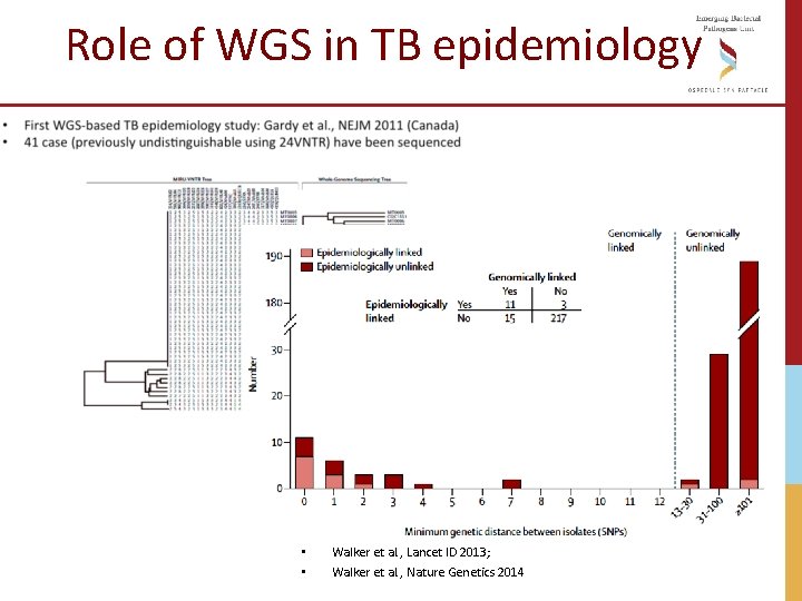 Role of WGS in TB epidemiology • • Walker et al. , Lancet ID Role of WGS in TB epidemiology • • Walker et al. , Lancet ID