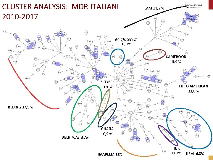 CLUSTER ANALYSIS: MDR ITALIANI 2010 -2017 LAM 13, 2 % M. africanum 0, 9 CLUSTER ANALYSIS: MDR ITALIANI 2010 -2017 LAM 13, 2 % M. africanum 0, 9