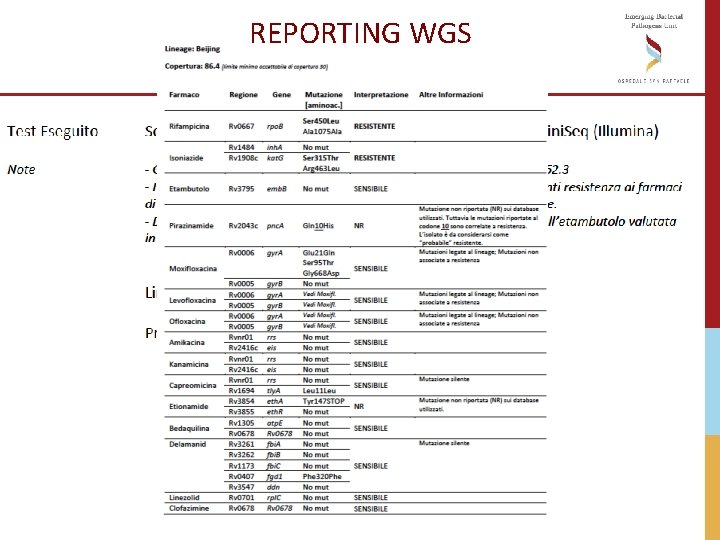 REPORTING WGS REPORTING WGS
