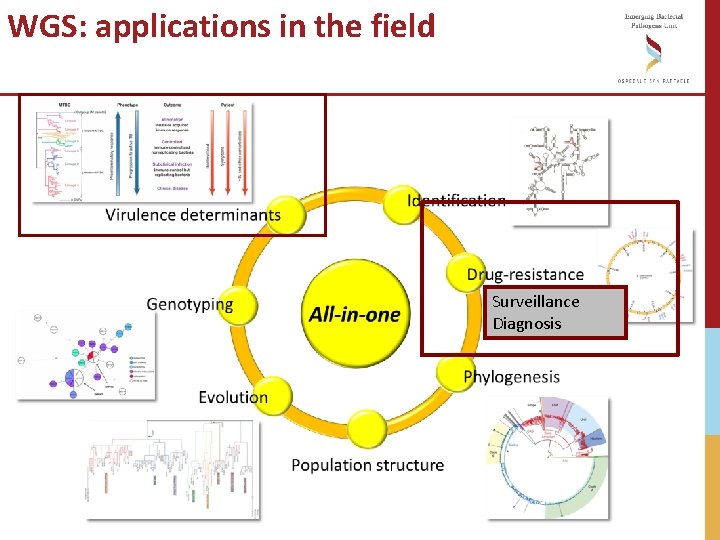 WGS: applications in the field Surveillance Diagnosis WGS: applications in the field Surveillance Diagnosis