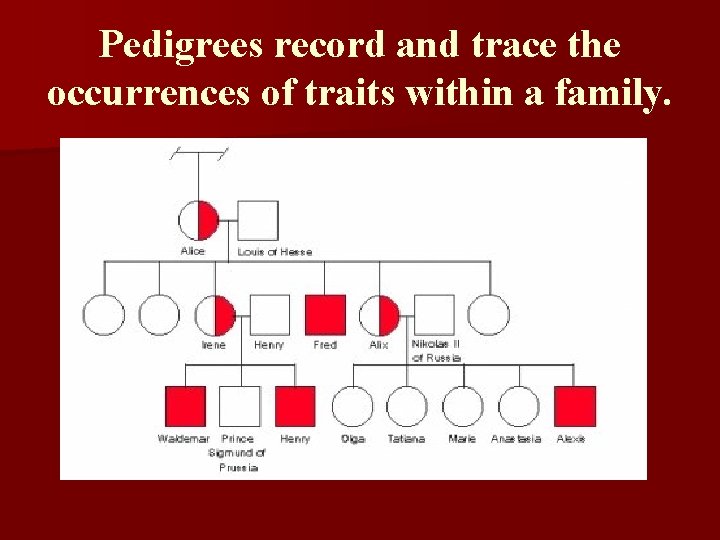 Pedigrees record and trace the occurrences of traits within a family. 