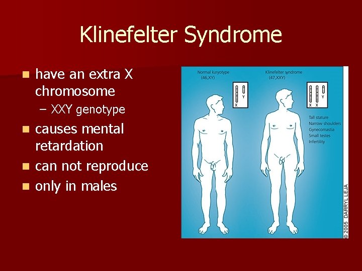 Klinefelter Syndrome n have an extra X chromosome – XXY genotype causes mental retardation