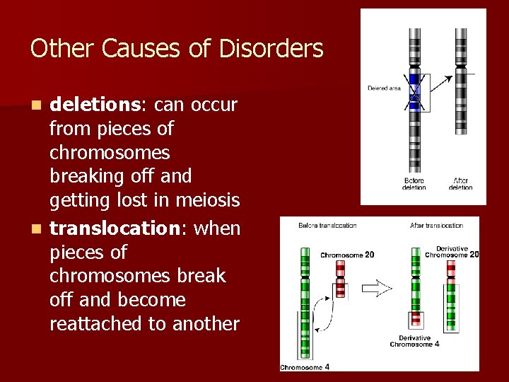 Other Causes of Disorders deletions: can occur from pieces of chromosomes breaking off and