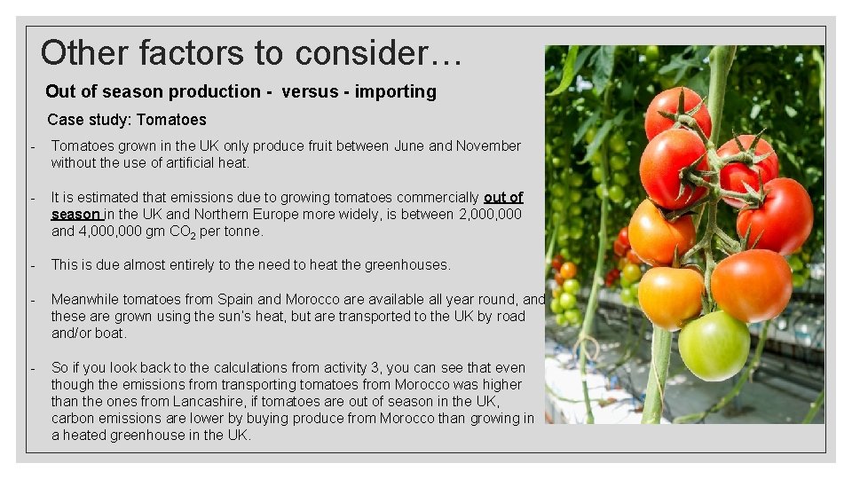 Other factors to consider… Out of season production - versus - importing Case study: