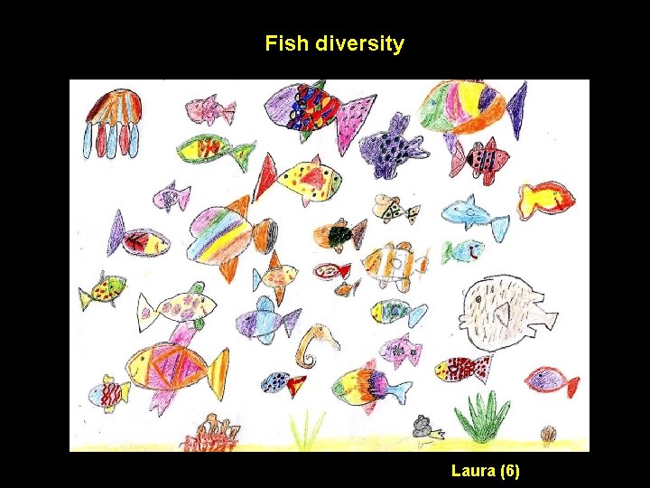 Fish diversity Laura (6) 