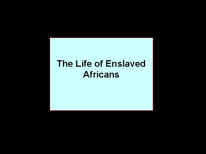 The Life of Enslaved Africans 