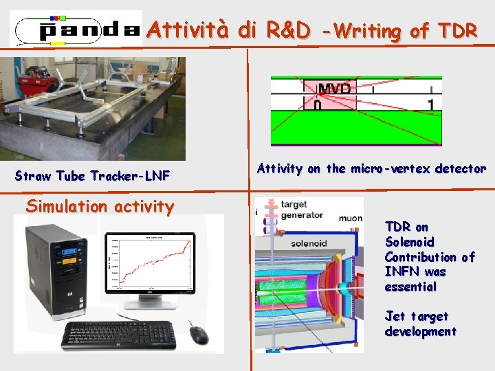 PANDA Attività di R&D -Writing of TDR Straw Tube Tracker-LNF Attivity on the micro-vertex