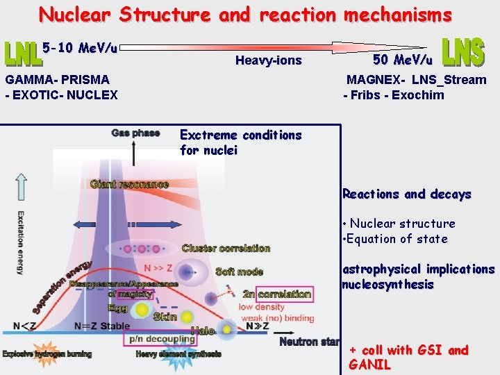 Nuclear Structure and reaction mechanisms 5 -10 Me. V/u Heavy-ions GAMMA- PRISMA - EXOTIC-