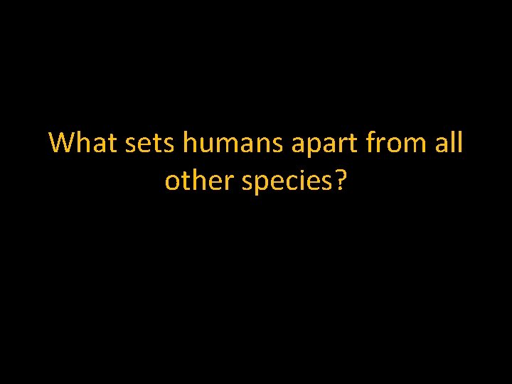 What sets humans apart from all other species? 