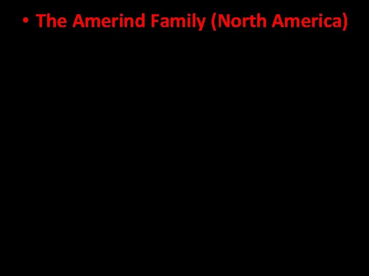  • The Amerind Family (North America) 