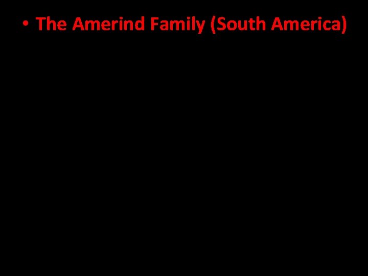  • The Amerind Family (South America) 