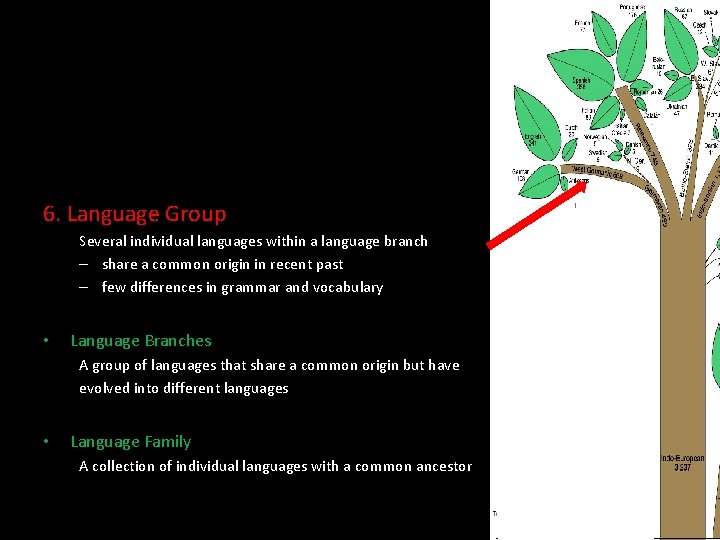  • Dialects A regional variety of a language distinguished by pronunciation, spelling, and