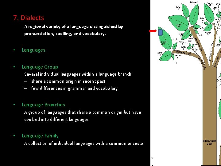 7. Dialects A regional variety of a language distinguished by pronunciation, spelling, and vocabulary.