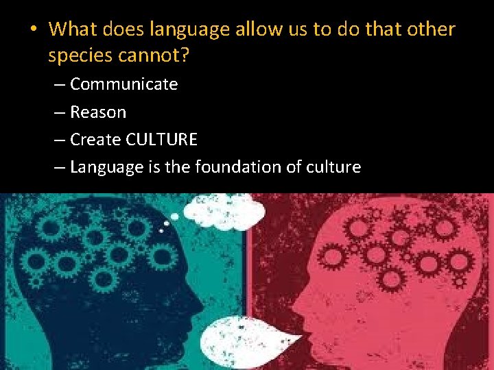  • What does language allow us to do that other species cannot? –