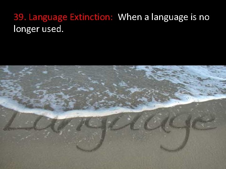 39. Language Extinction: When a language is no longer used. 