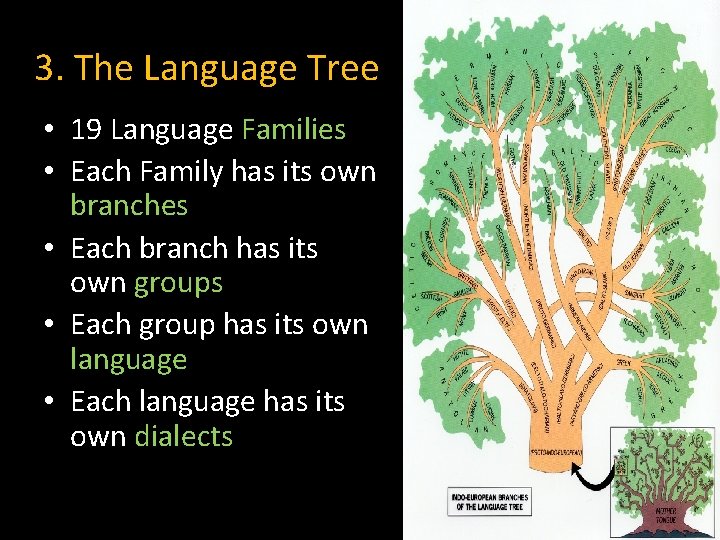 3. The Language Tree • 19 Language Families • Each Family has its own