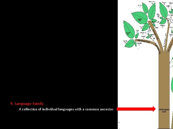  • Dialects A regional variety of a language distinguished by pronunciation, spelling, and