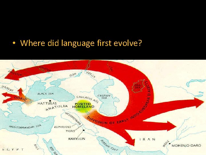  • Where did language first evolve? 