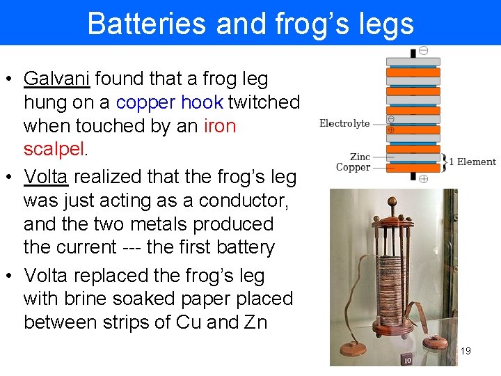 Batteries and frog’s legs • Galvani found that a frog leg hung on a