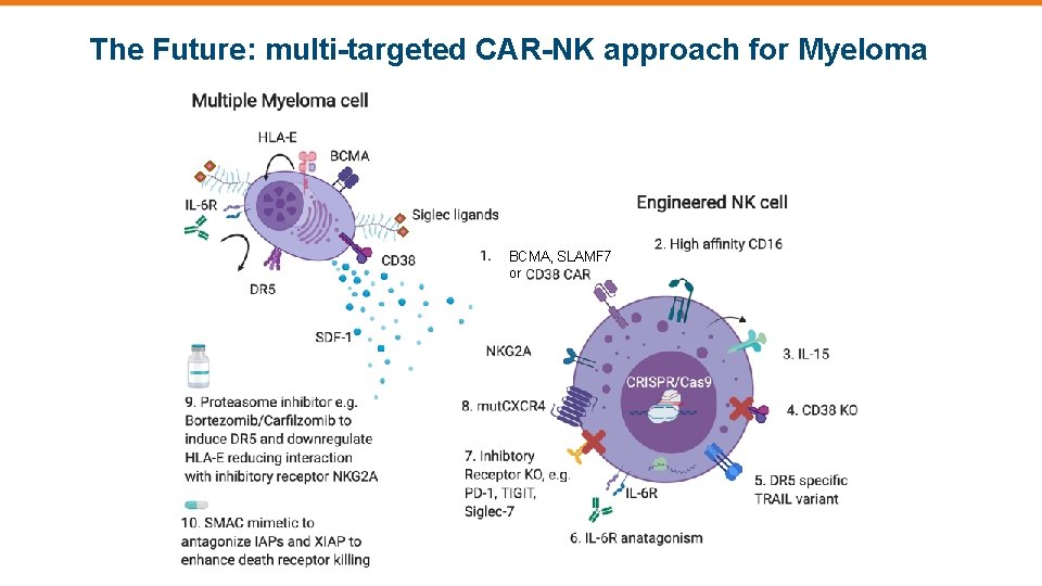 The Future: multi-targeted CAR-NK approach for Myeloma BCMA, SLAMF 7 or 