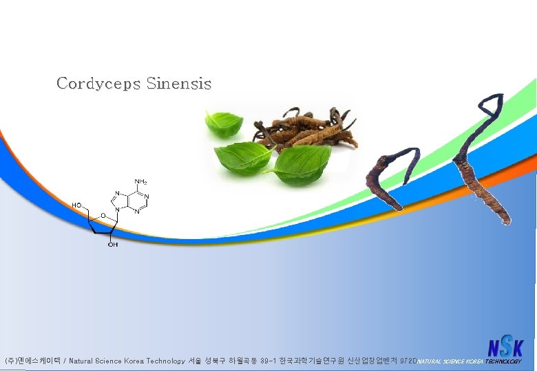 Cordyceps Sinensis (주)엔에스케이텍 / Natural Science Korea Technology 서울 성북구 하월곡동 39 -1 한국과학기술연구원