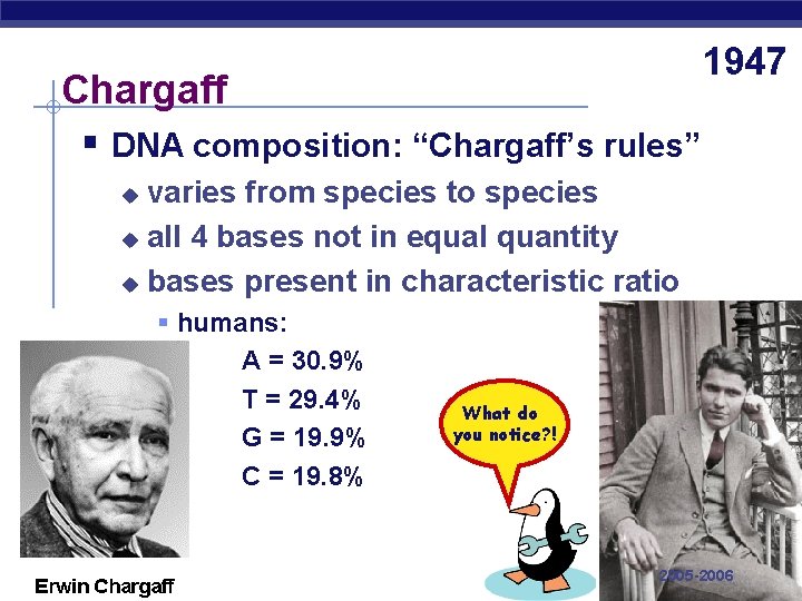 Chargaff § DNA composition: “Chargaff’s rules” 1947 varies from species to species u all