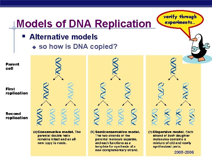Models of DNA Replication verify through experiments… § Alternative models u AP Biology so
