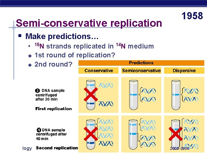 Semi-conservative replication 1958 § Make predictions… u u u AP Biology 15 N strands