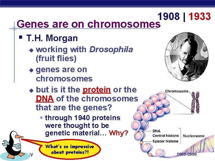 1908 | 1933 Genes are on chromosomes § T. H. Morgan working with Drosophila