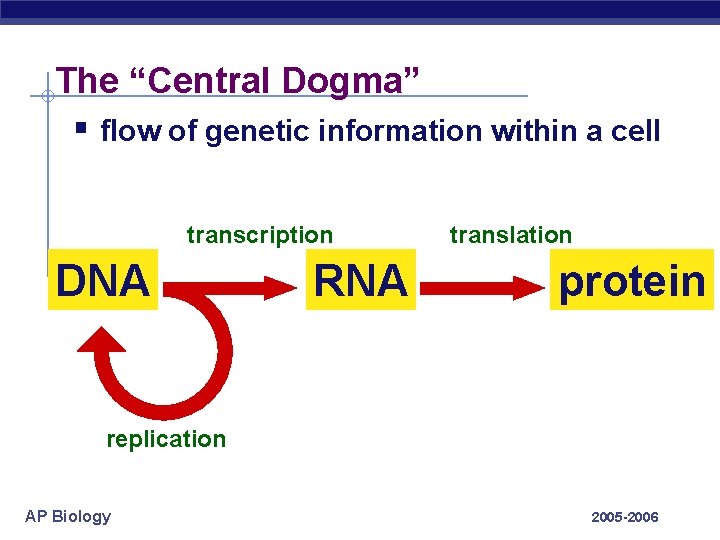 The “Central Dogma” § flow of genetic information within a cell transcription DNA RNA