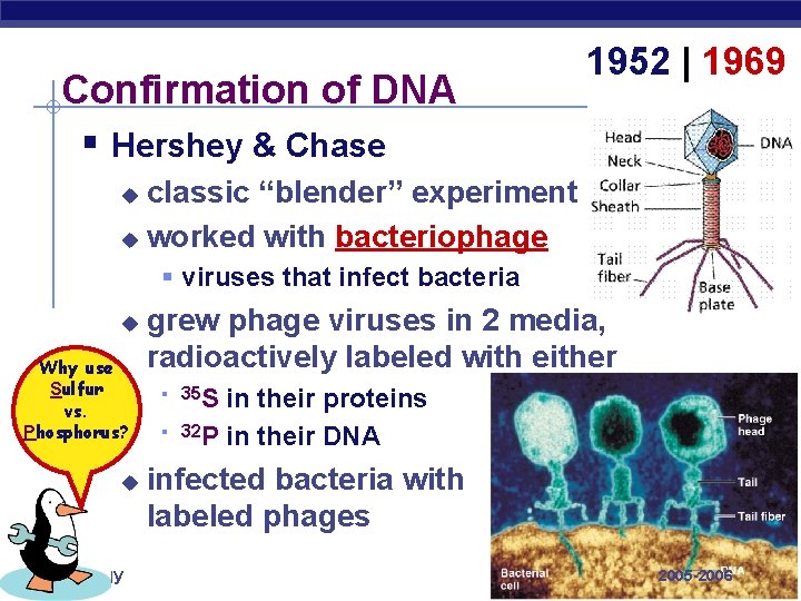 Confirmation of DNA § Hershey & Chase 1952 | 1969 classic “blender” experiment u