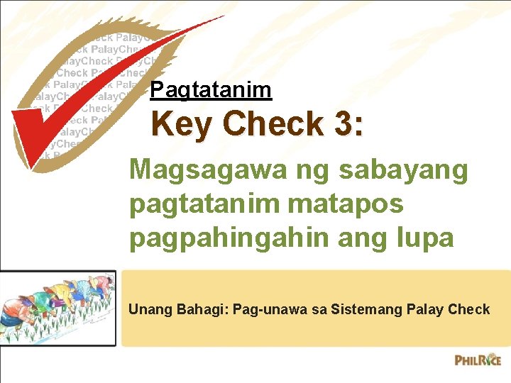 Pagtatanim Key Check 3: Magsagawa ng sabayang pagtatanim matapos pagpahingahin ang lupa Unang Bahagi: