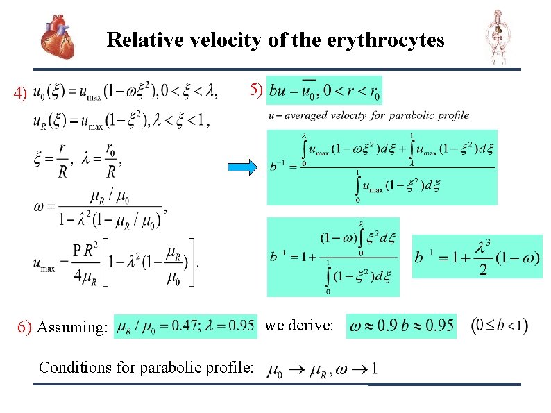 Relative velocity of the erythrocytes 5) 4) 6) Assuming: we derive: Conditions for parabolic