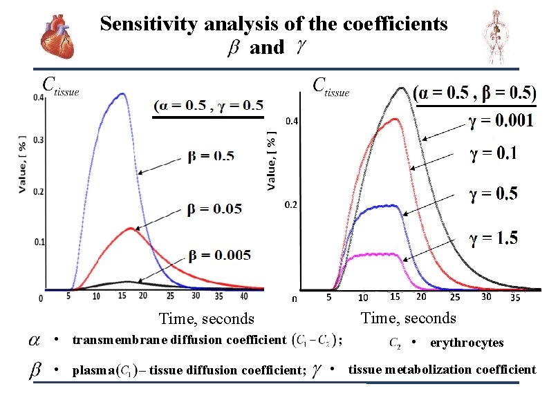 Sensitivity analysis of the coefficients and Time, seconds • transmembrane diffusion coefficient • plasma