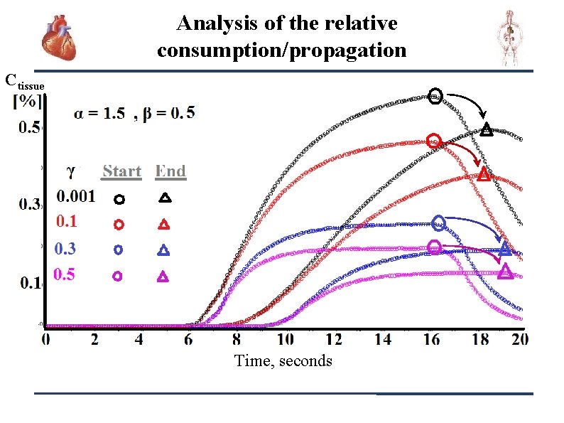 Analysis of the relative consumption/propagation Сtissue Time, seconds 17 