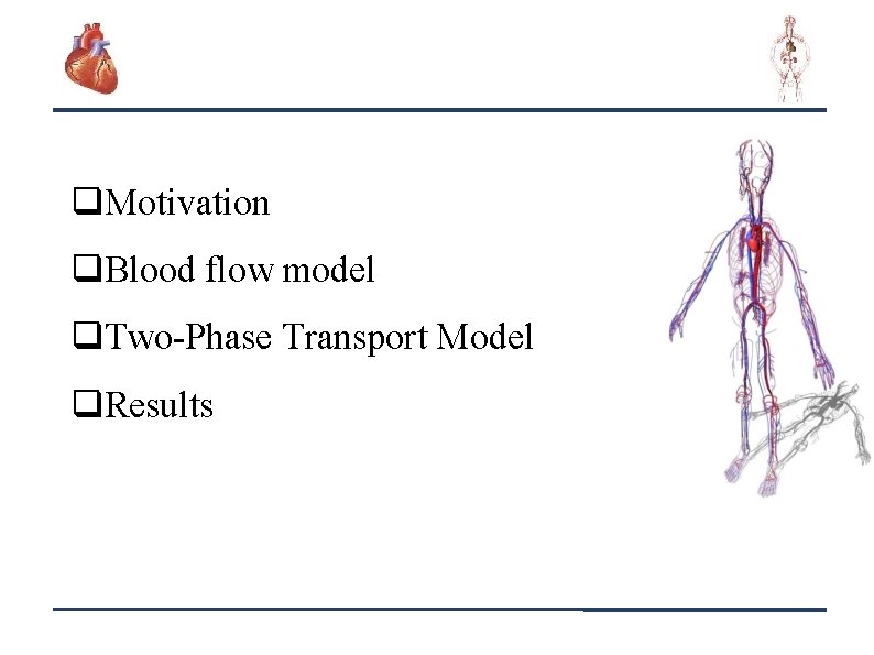 q. Motivation q. Blood flow model q. Two-Phase Transport Model q. Results 2 