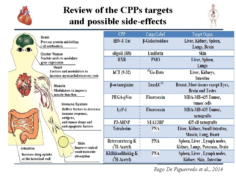 Review of the CPPs targets and possible side-effects Rego De Figueiredo et al. ,