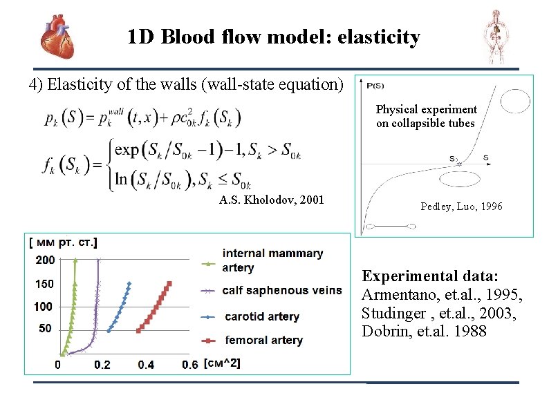 1 D Blood flow model: elasticity 4) Elasticity of the walls (wall-state equation) Physical