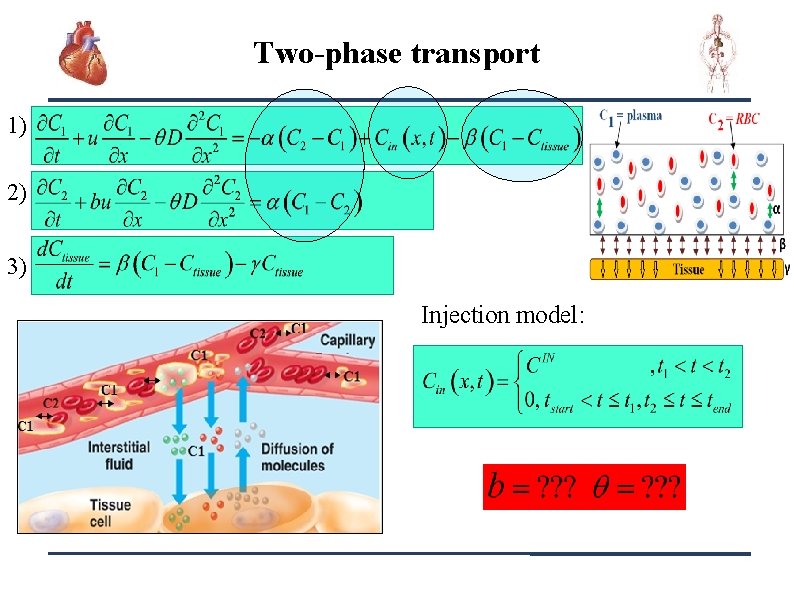 Two-phase transport 1) 2) 3) Injection model: 7 