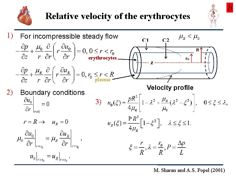 Relative velocity of the erythrocytes 1) For incompressible steady ﬂow erythrocytes plasma Velocity profile