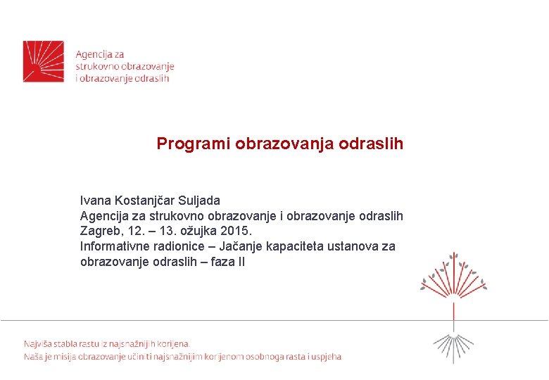 Programi obrazovanja odraslih Ivana Kostanjčar Suljada Agencija za strukovno obrazovanje i obrazovanje odraslih Zagreb,