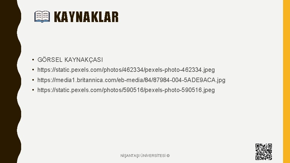 KAYNAKLAR • GÖRSEL KAYNAKÇASI • https: //static. pexels. com/photos/462334/pexels-photo-462334. jpeg • https: //media 1.