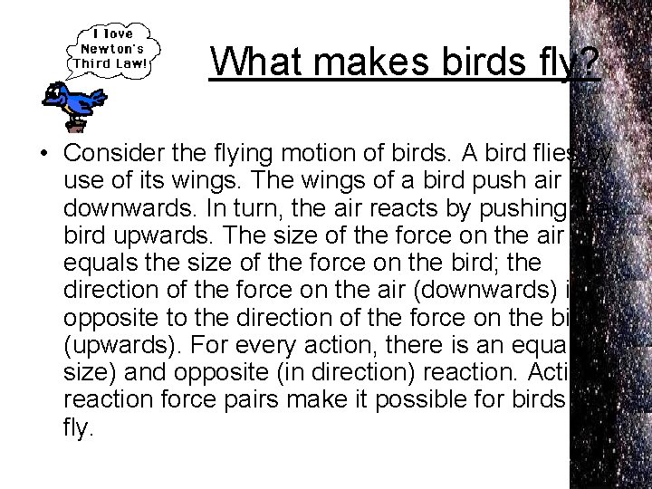 What makes birds fly? • Consider the flying motion of birds. A bird flies