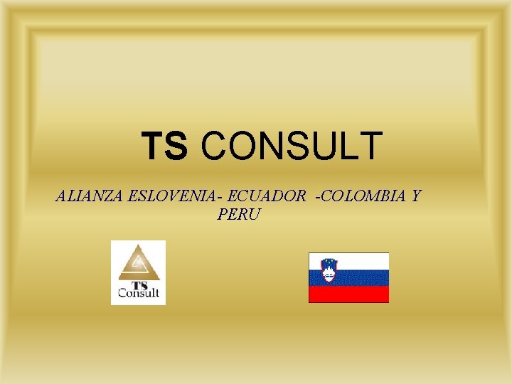 TS CONSULT ALIANZA ESLOVENIA- ECUADOR -COLOMBIA Y PERU 