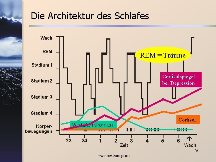 Die Architektur des Schlafes REM = Träume Cortisolspiegel bei Depression Wachstumshormon Cortisol 10 www.